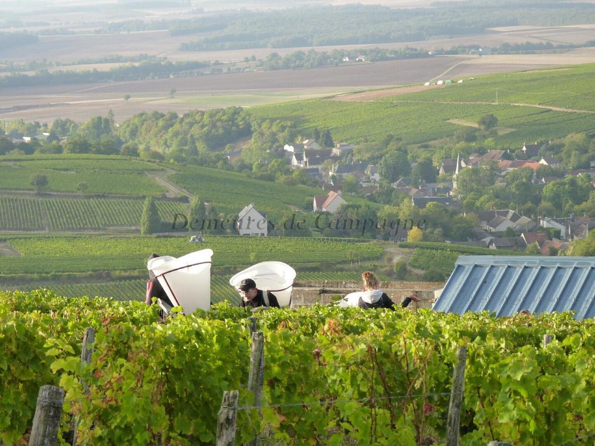 Maison Les Fossiles Sancerre Zewnętrze zdjęcie